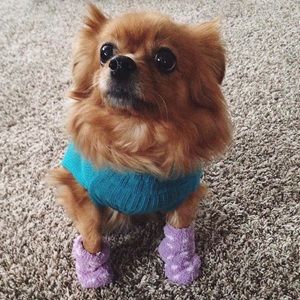 Meet your Posher, Grace